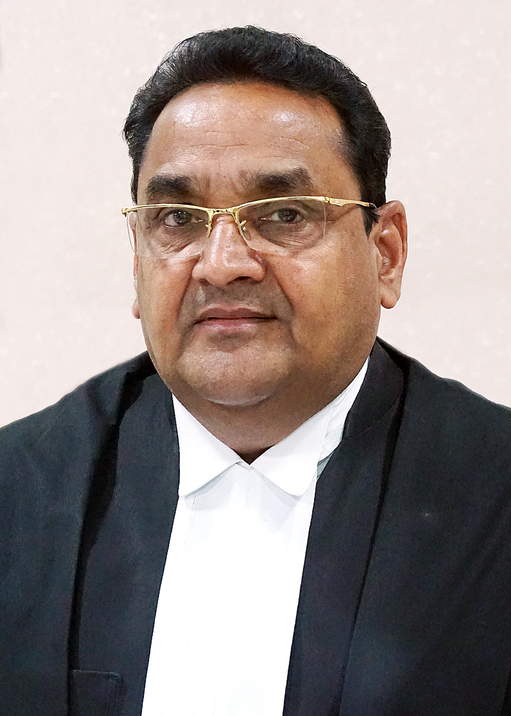 Hon’ble Mr. Justice Aditya Nath Mittal 