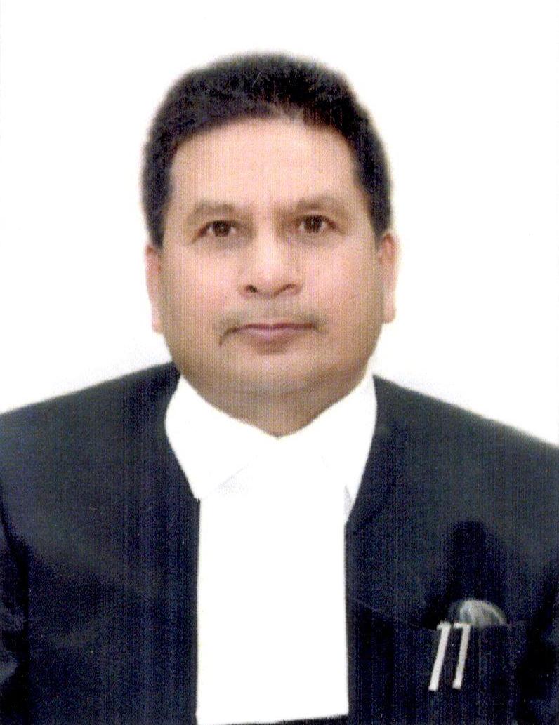 Hon’ble Mr. Justice Ali Zamin 