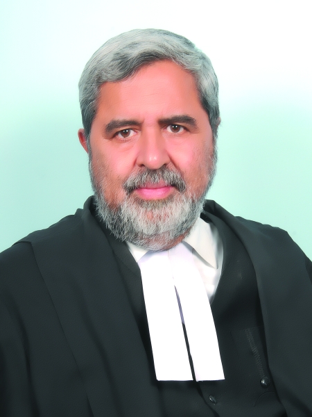 Hon’ble Mr. Justice Amar Saran 