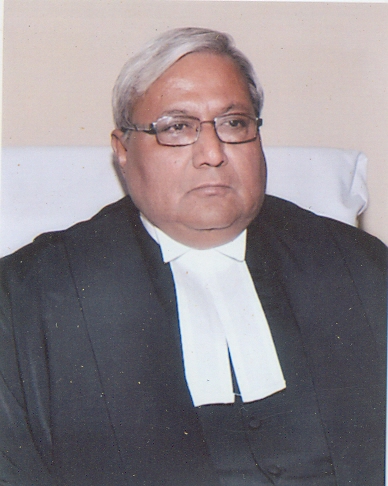 Hon’ble Mr. Justice Anil Kumar Sharma 