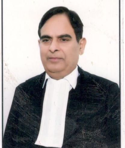 Hon’ble Mr. Justice Daya Shankar Tripathi 