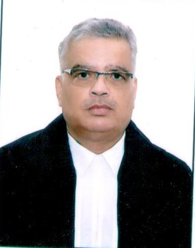 Hon’ble Mr. Justice Naveen Srivastava (Addl.)