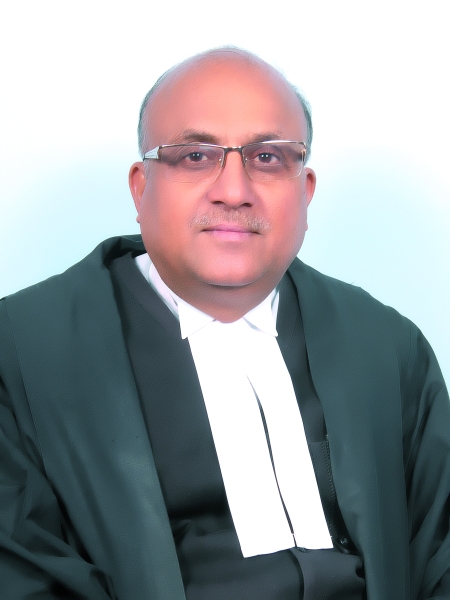 Hon’ble Mr. Justice Rajes Kumar 