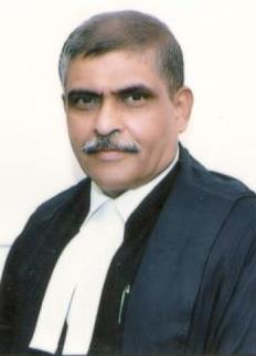 Hon’ble Mr. Justice Sanjay Yadav 