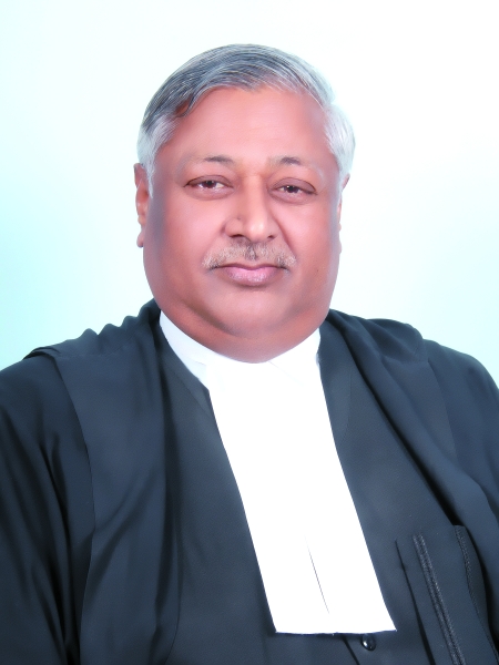 Hon’ble Mr. Justice Sheo Kumar Singh (Sr. Judge, Alld.)
