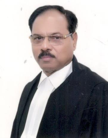 Hon’ble Mr. Justice Shekhar Kumar Yadav 