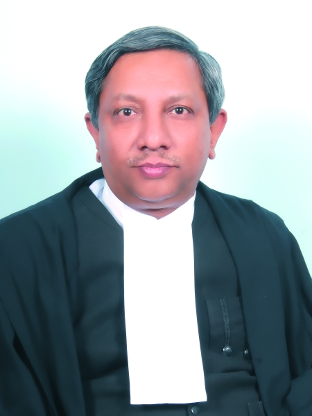 Hon’ble Mr. Justice Vinod Prasad 