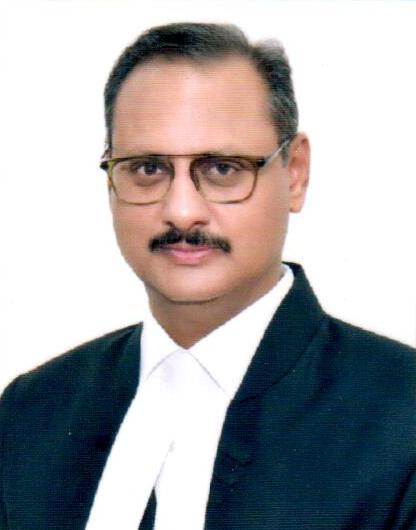 Hon’ble Mr. Justice Avnish Saxena 