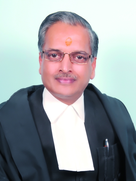 Hon’ble Mr. Justice Rajesh Kumar Agrawal 