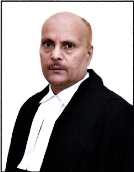 Hon’ble Mr. Justice Vinai Kumar Dwivedi 