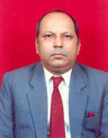 Hon’ble Mr. Justice Vishnu Sahai 