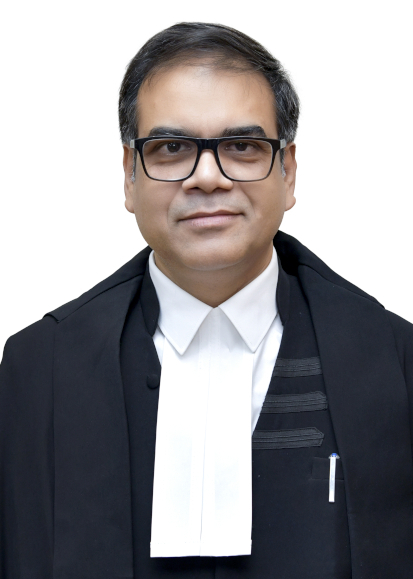Hon’ble Mr. Justice Vivek Saran 