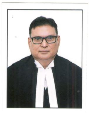 Hon’ble Mr. Justice Anil Kumar Ojha 