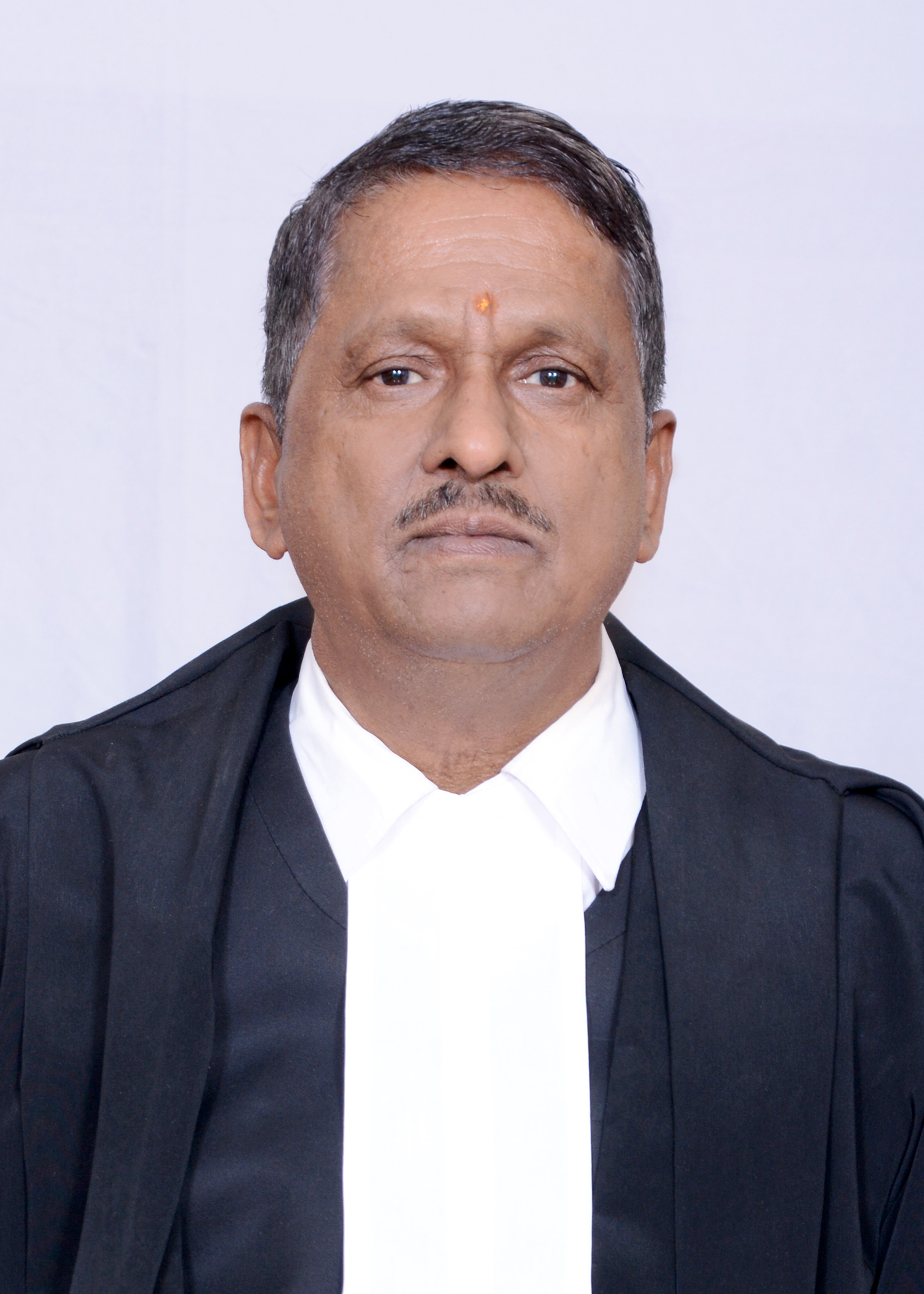 Hon’ble Mr. Justice Amar Singh Chauhan 