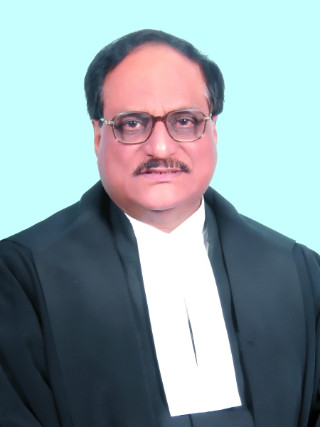 Hon’ble Mr. Justice Ashok Srivastava 