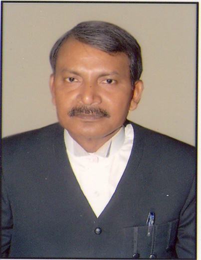 Hon’ble Mr. Justice Dasu Ram Azad (Addl.)