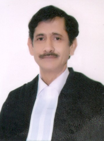 Hon’ble Mr. Justice Rajul Bhargava 