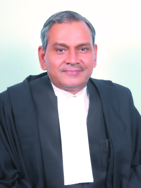 Hon’ble Mr. Justice Shyam Shankar Tiwari 