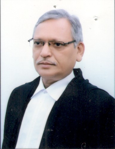 Hon’ble Mr. Justice Vinod Kumar Srivastava-III 